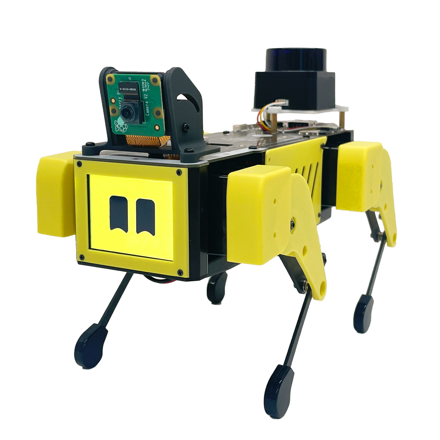 Mini Pupper 2: AI Robot, Smart Robot, Quadruped Robot, Educational Robot, Genuine, Open-Source, STEM, K12
