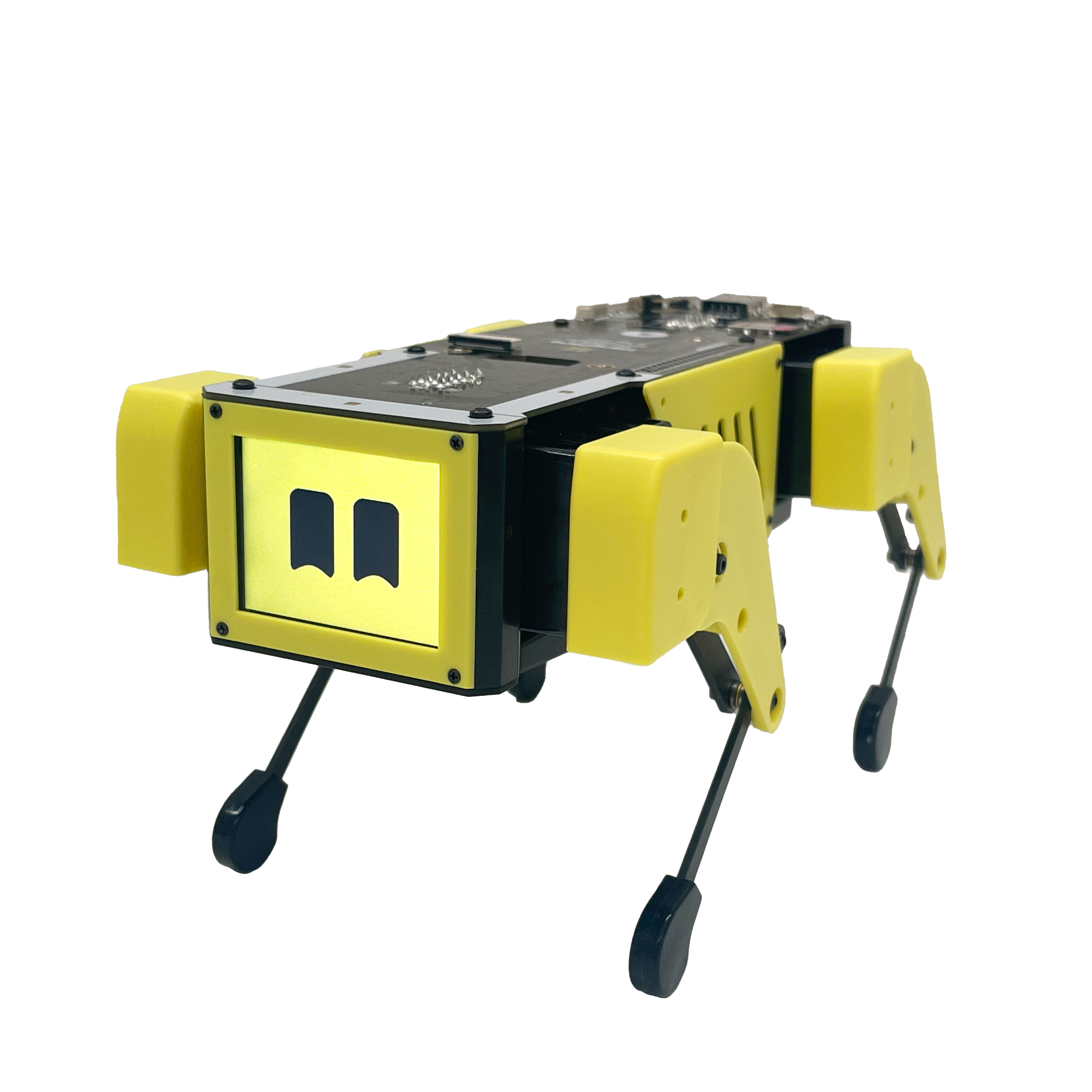 Mini Pupperミニぷぱ2 プログラミング教育ロボット ミニぷぱ：AIロボット、スマートロボット、四足ロボット、教育用