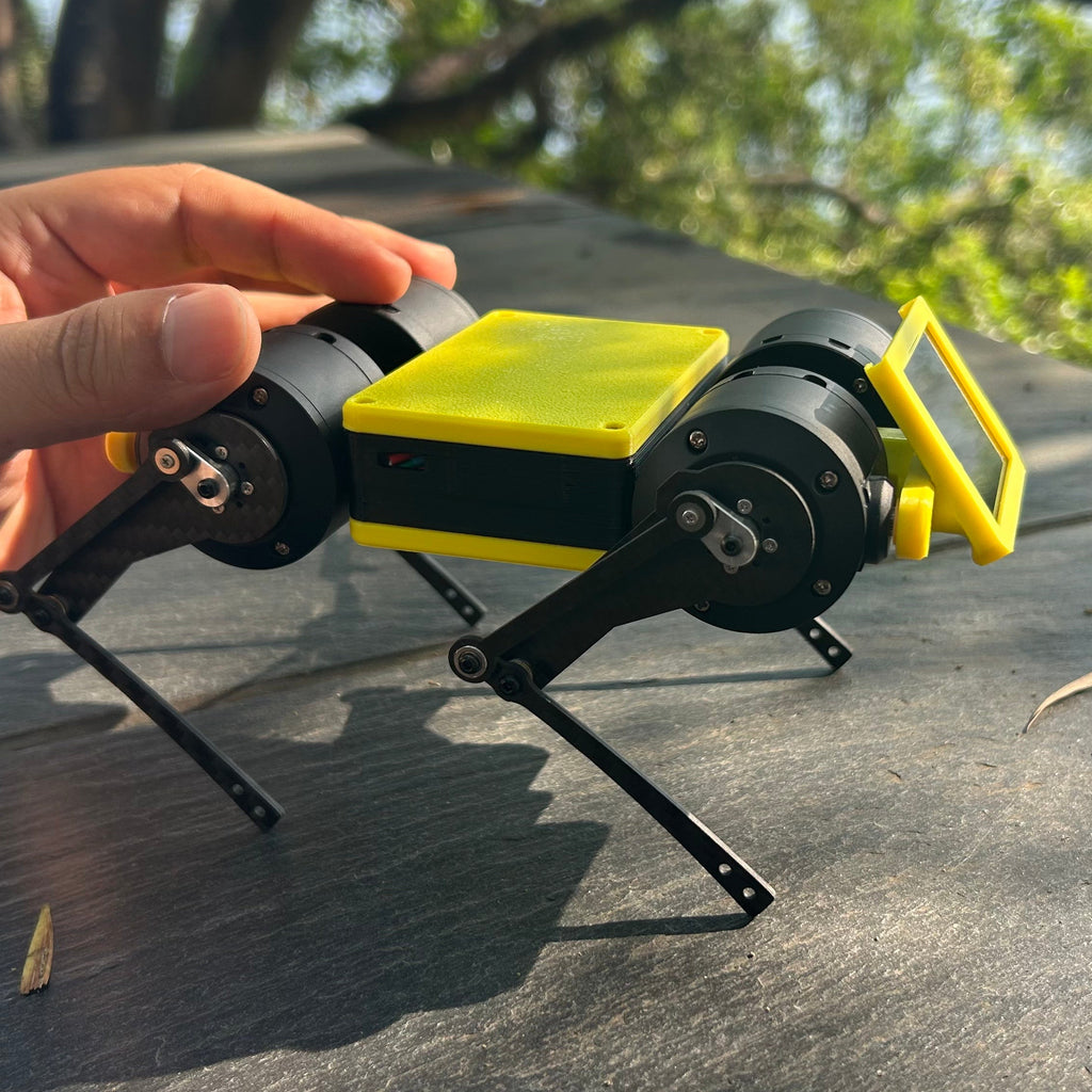 Mini Pupper 4  Pioneer Program