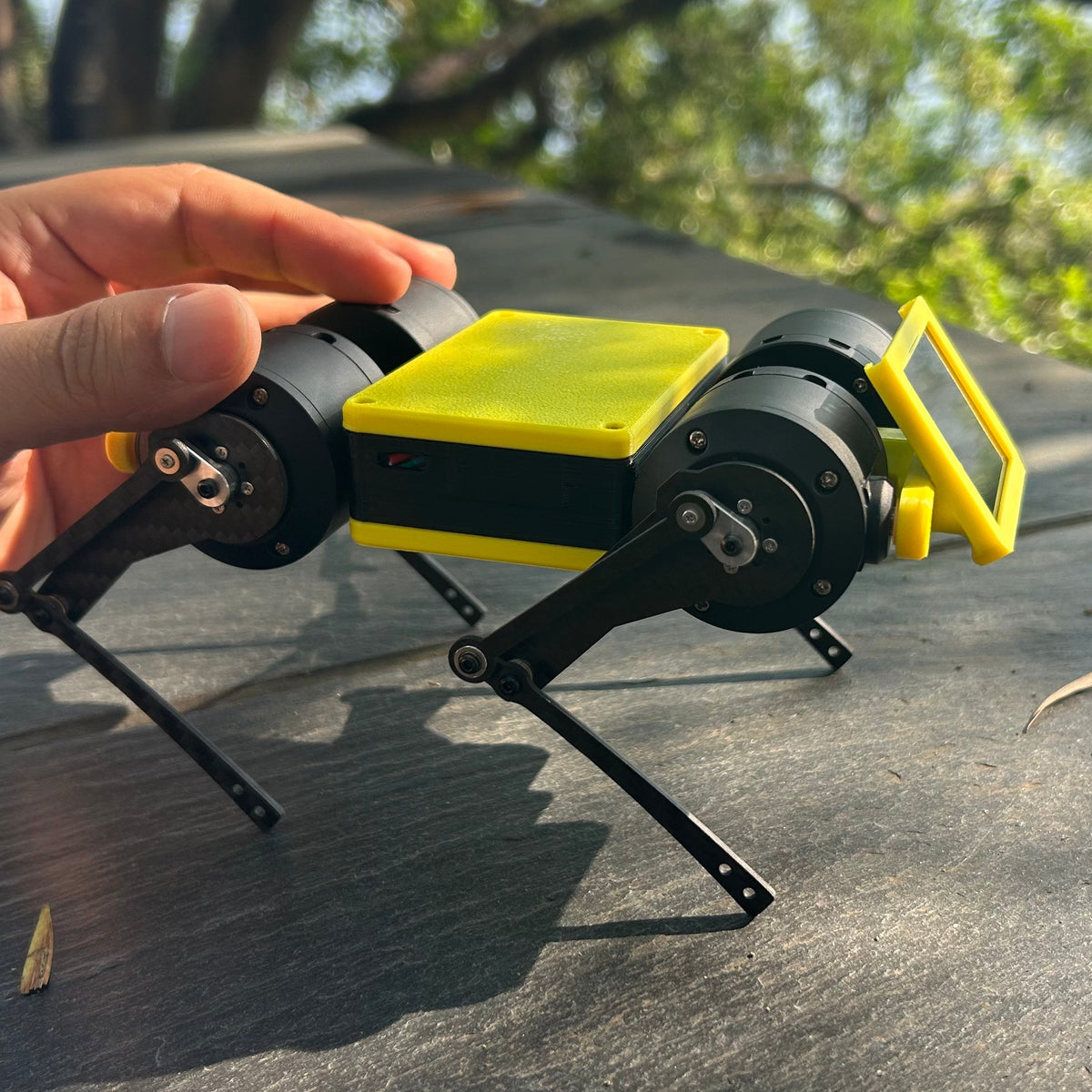 Mini Pupper 4  Pioneer Program