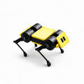 Mini Pupper 4  Pioneer Program