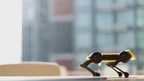 Mini Pupper 4  Pioneer Program